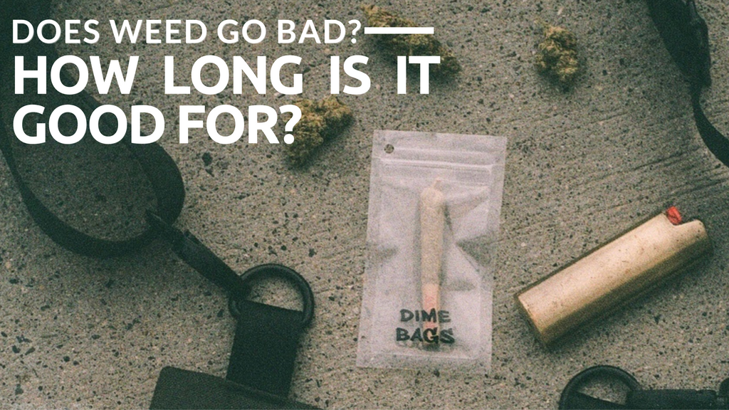 Does Weed Go Bad + How Long Is It Good For?