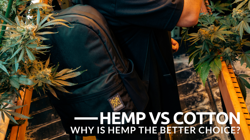 Hemp vs Cotton: Why is Hemp the Better Choice?