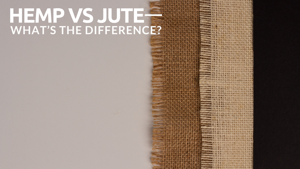 Hemp VS Jute: What’s the Difference?