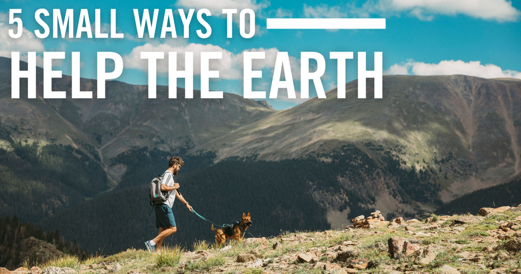 5 Small Ways to Help the Earth