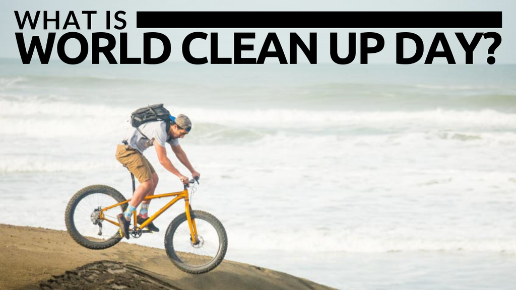 What is World Clean Up Day?