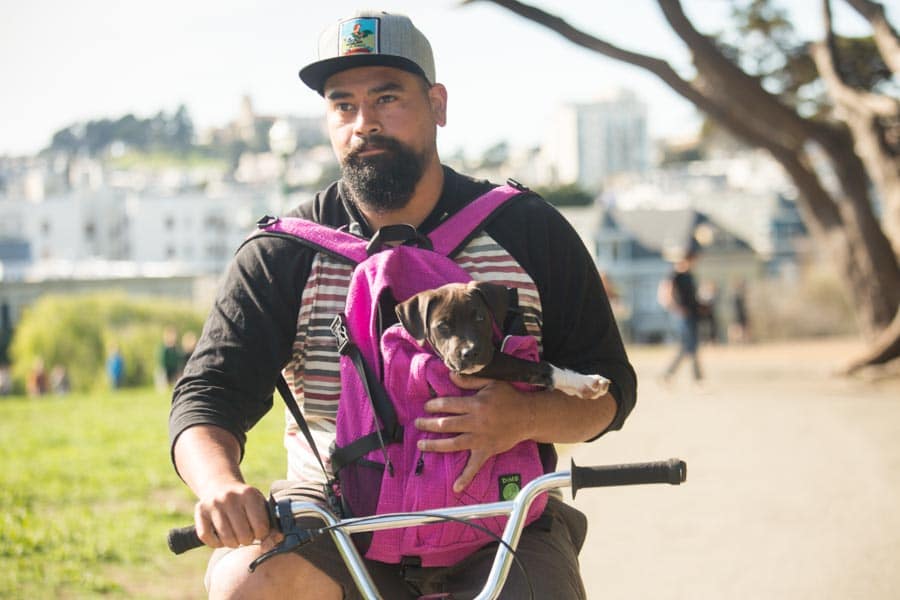 Are Dime Bags Illegal?