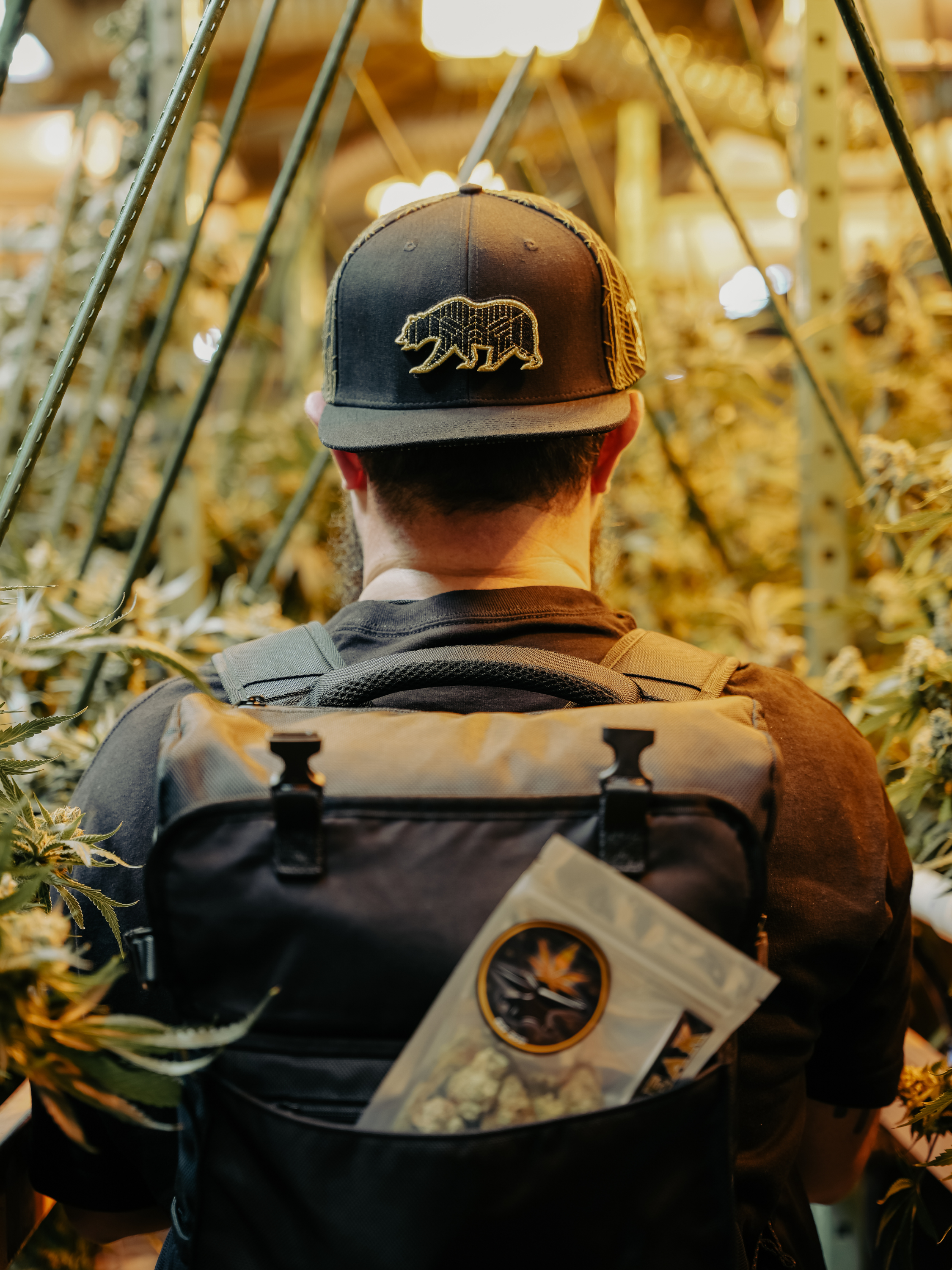 The Administrator Smell-Proof Backpack | Carbon Lined + TSA Lock The Administrator Smell-Proof Backpack | Carbon Lined + TSA Lock