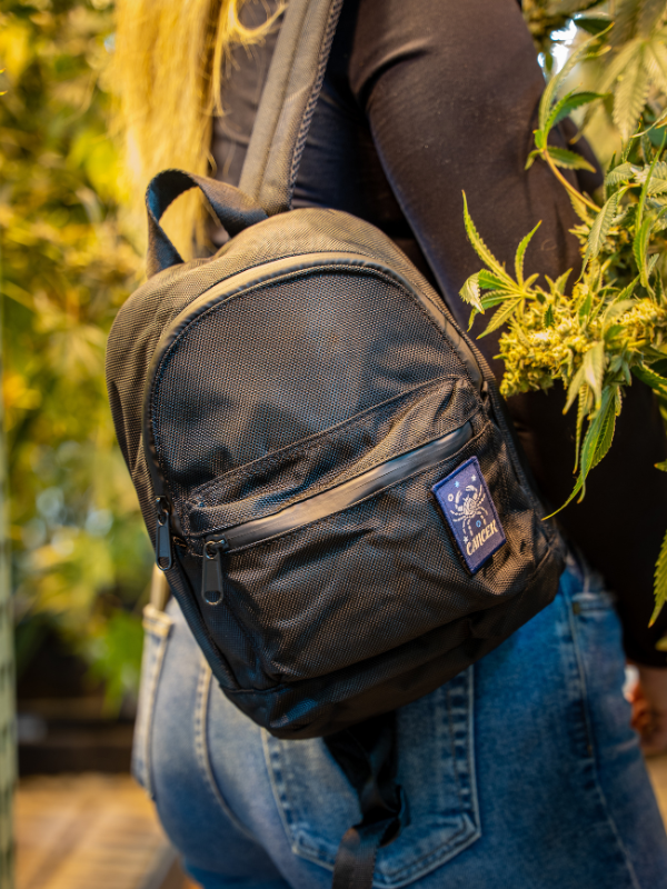 dime bags mini backpack The Mini Molly with Lock